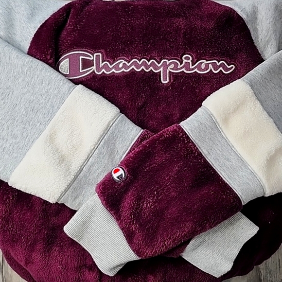 Champion Fuzzy Crop Sweatshirt - Picture 3 of 4